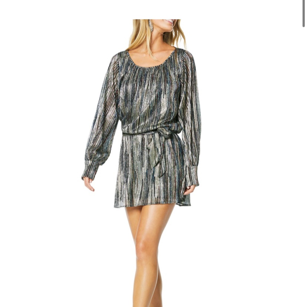 Jordan Metallic Dress szM